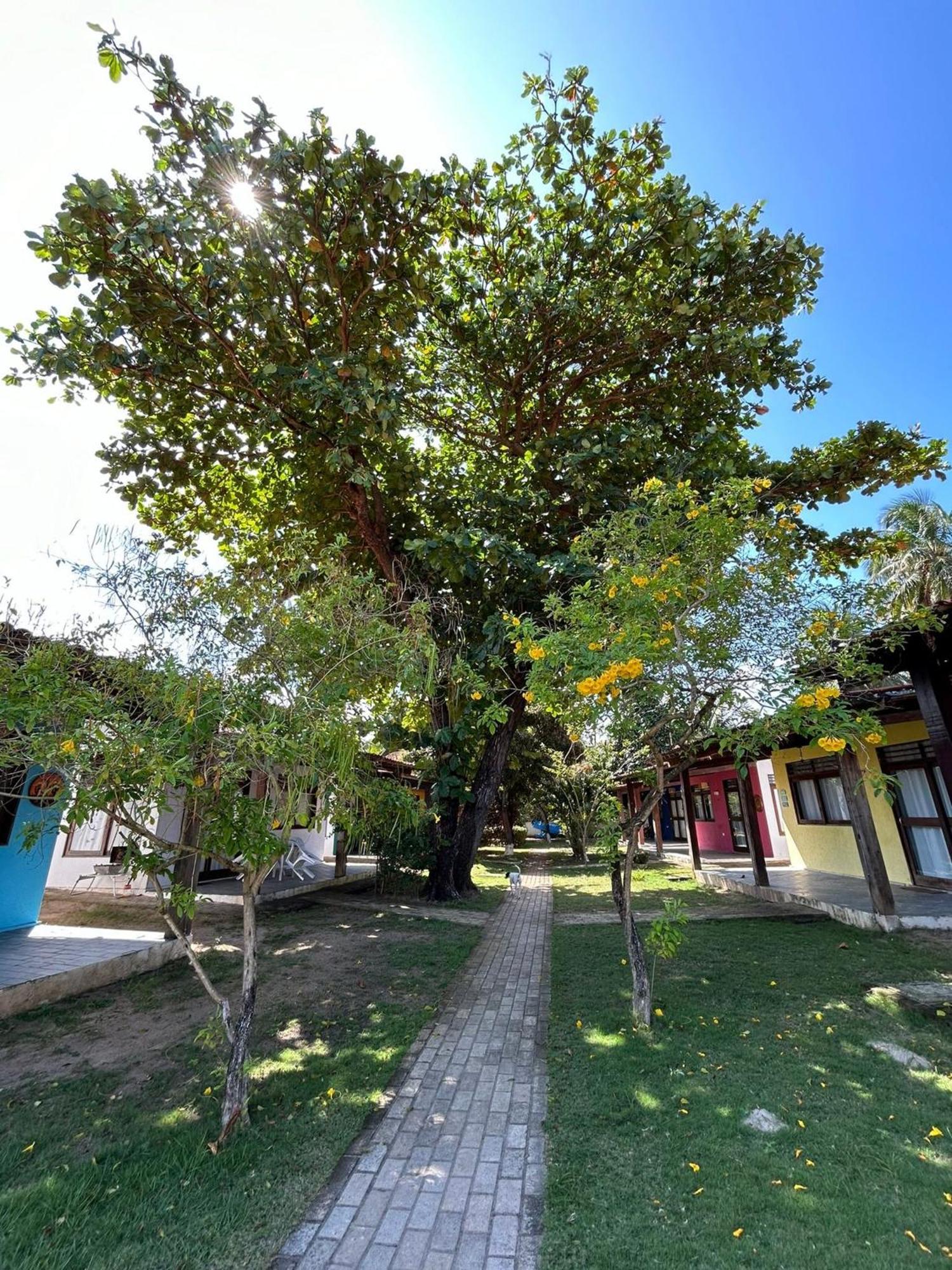 Chales Praias Brasileiras Maragogi Dış mekan fotoğraf